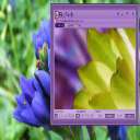 bigpixels (Jpeg image)
